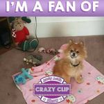 Cathy Davison - @kdavison2861 - Instagram