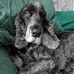Cathy Dean - Facebook
