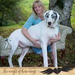 Cathy Delaney - @cdelaney36 - Instagram