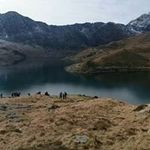 Cathy Delaney - @mudswoman - Instagram