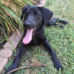 Cathy Delaney Blazonczyk - @cjblaz0520 - Instagram