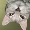 cat 👖 - @ccathydelanoo - TikTok