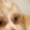 Cathy Delong - @cathy.delong - TikTok