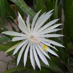 Cathy Dempsey Baumgartner - @3genealogycathy - Instagram