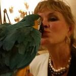 Cathy Dempsey Zahn - @cathyzahn55 - Instagram