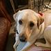 Cathy Denison - Facebook