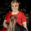 cathydewolf3 - @cathydewolf3 - TikTok