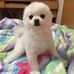 Cathy Tam - Facebook