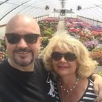 Cathy Dillon - @cathymarielivecom - Instagram