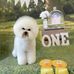 Cathy Dong - Facebook
