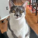 Cathy Drew - @cathydrew1204 - Instagram
