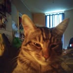 Cathy Dunn - Facebook