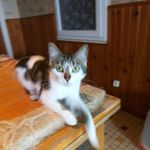 Cathy Dupret - @cathydupret - Instagram
