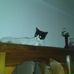 Cathy Eastham - Facebook