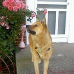 Cathy Eddy Klimowicz - @catklimo - Instagram