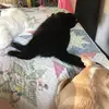 cathyeddy550 - @cathyeddy550 - TikTok