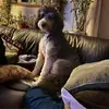 cathyeddyklimowic - @cathyeddyklimowic - TikTok