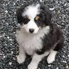 Cathy B Ensley - @cathybensley - TikTok