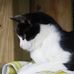 Cathy Ensor - Facebook