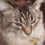 Cathy Epperson - @cathy.epperson.9 - Instagram