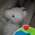 Cathy Erbe - Facebook
