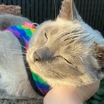 Cathy Erickson - @cathyerickson1919 - Instagram