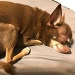Cathy Erickson - @cathylerickson - Instagram