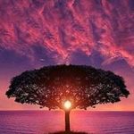 Cathy Erickson - @cathyerickson1505 - Instagram