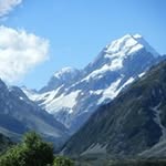 Cathy Ewington - @cathyewington - Instagram