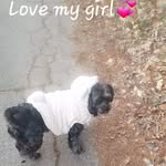 Cathy L. Ewing - @cathyewing59 - Instagram