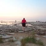 Cathy Wenham Ewing - @wenhamewing - Instagram