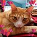 Cathy Farmer - Facebook