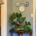 Cathy Whited Farmer - @sand_mtn_farmhouse - Instagram