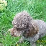 Cathy Feeney - @yogi12_boo.cricket - Instagram