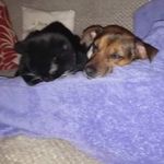 Cathy Liverbird Feeney - @cfeeney66 - Instagram