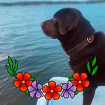 Cathy Bruce Flint - @cflint0324 - Instagram
