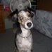 Cathy Forman - Facebook