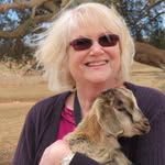 Cathy Sackel Friedman - @cathy.friedman - Instagram