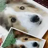 dizneygrl53 - @cathyfriedman8 - TikTok