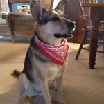 Cathy Gaffney Miners - @cathy.miners - Instagram