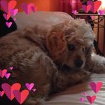 Cathy Jacob Gaffney - @ccruise_cjg - Instagram