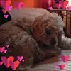 cathyjacobgaffney - @cathyjacobgaffney - TikTok