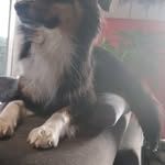 Cathy gerard - @cathygerard.brun - Instagram