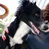cathygerard298 - @cathygerard298 - TikTok