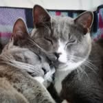 Cathy Gibson - @cathygibson155 - Instagram