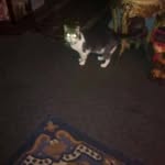 Cathy Gibson - @cathy.gibson.77964 - Instagram