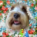 Cathy Giles - @cathy.giles.319 - Instagram