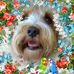 Cathy Giles - Facebook