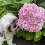 Cathy Spence-Gilfillan - @spencegilfillan - Instagram