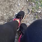 Cathy Glenn - @cathy.glenn.1088 - Instagram